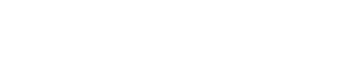 MEDRAD® Salient