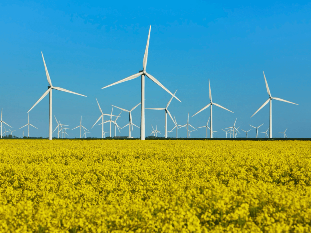 A row of white windmills against a clear blue sky, generating renewable energy