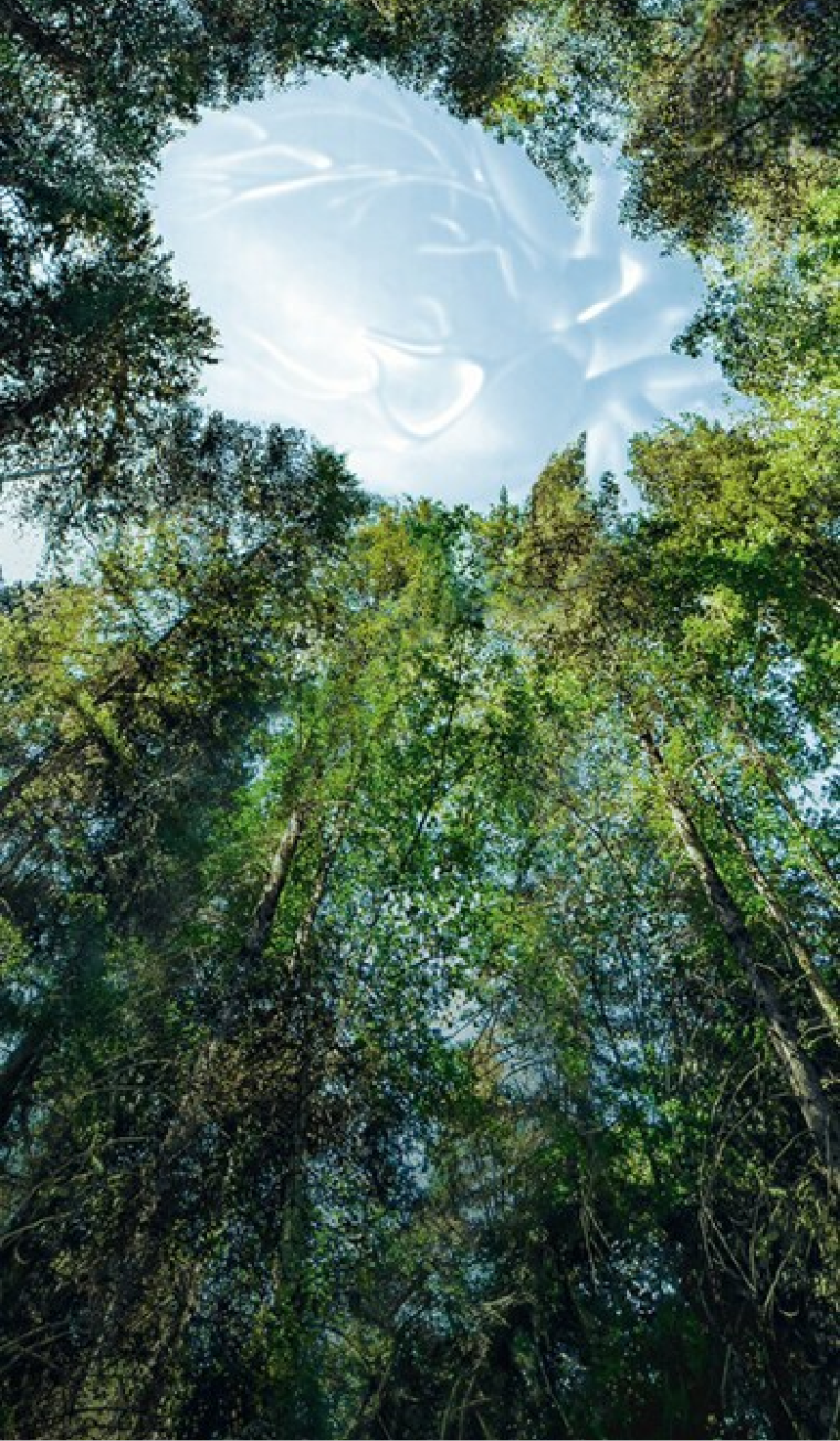 Key Visual Sustainability at Bayer in Radiology – Heart