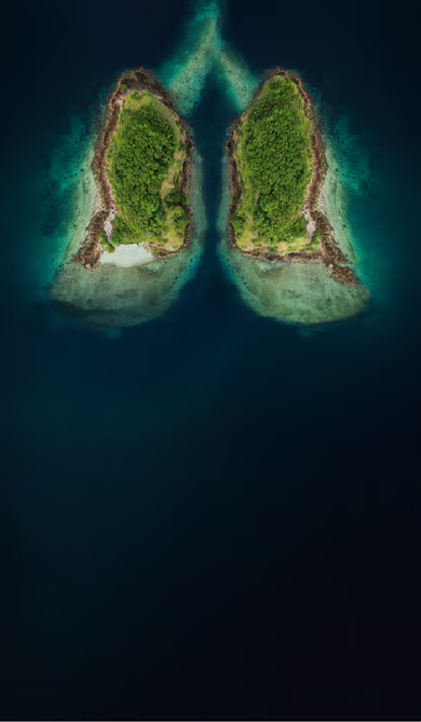 Key Visual Sustainability at Bayer in Radiology – Lungs