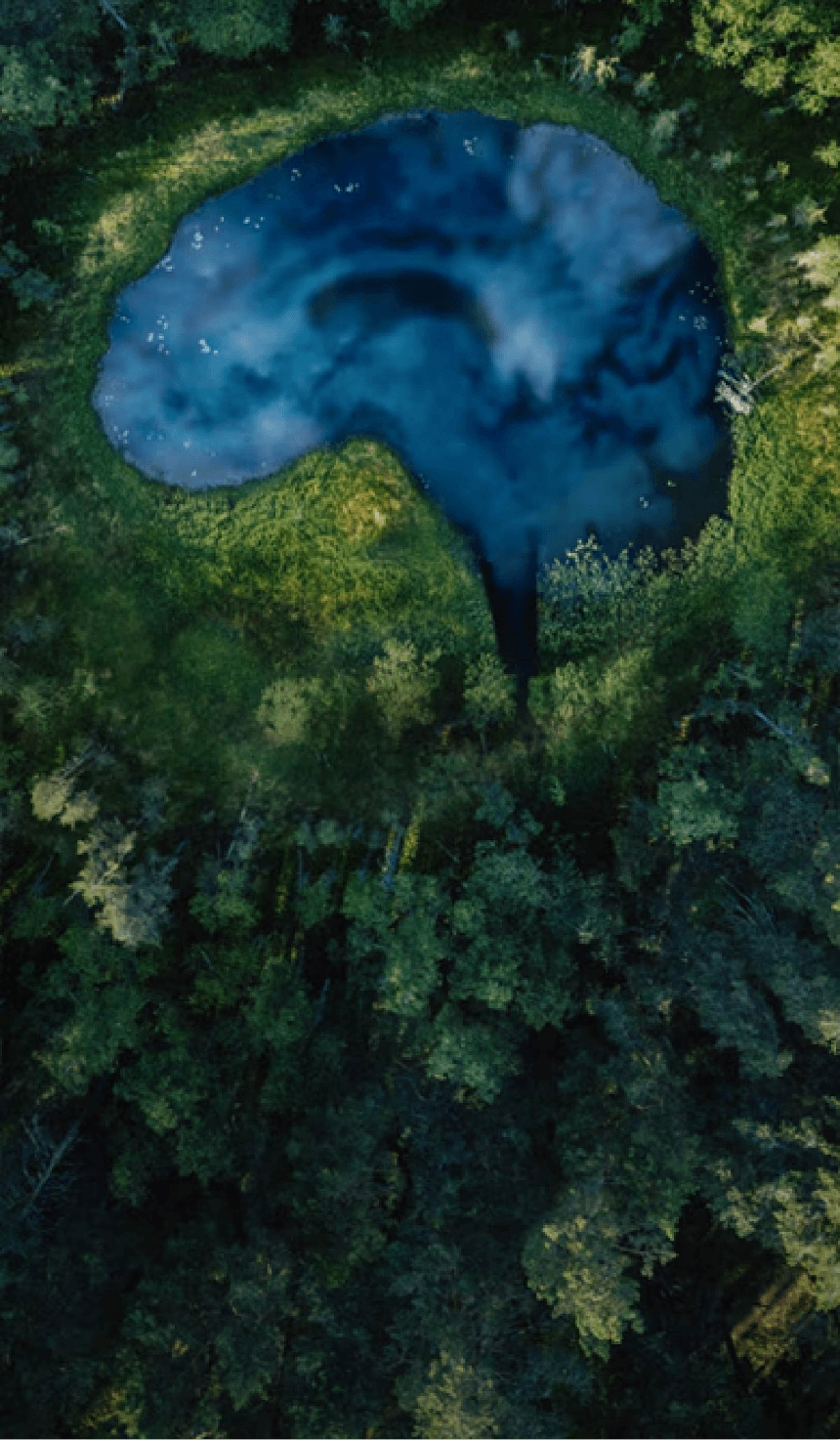 Key Visual Sustainability at Bayer in Radiology – Brain
